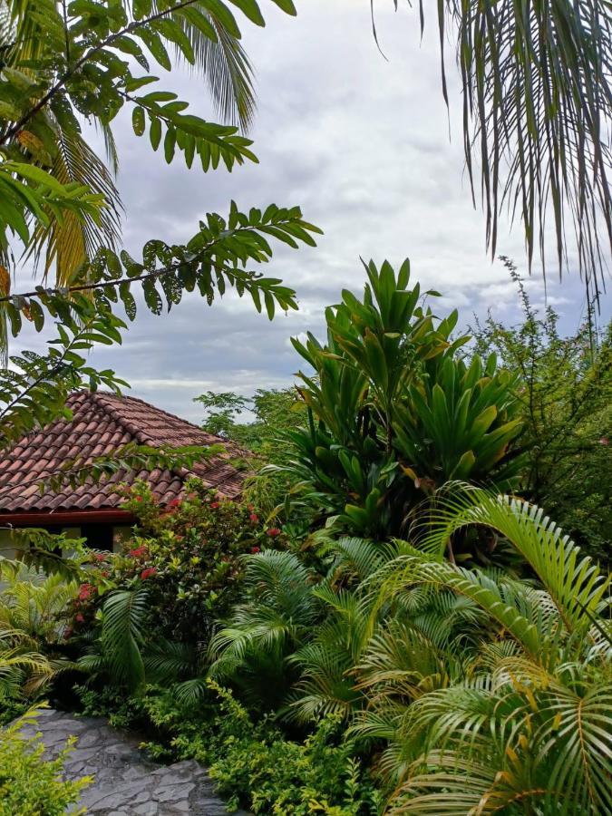 Finca Los Caballos Montezuma Exteriör bild