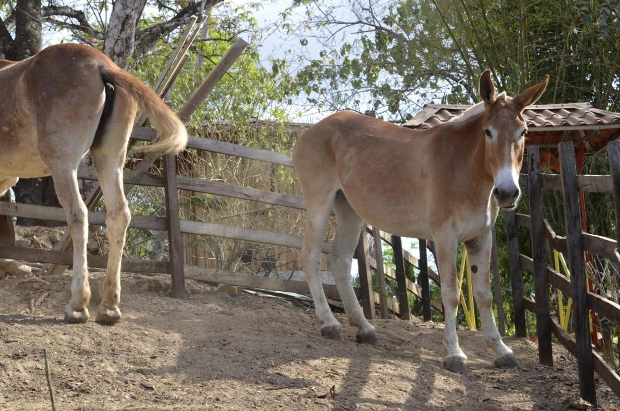Finca Los Caballos Montezuma Exteriör bild