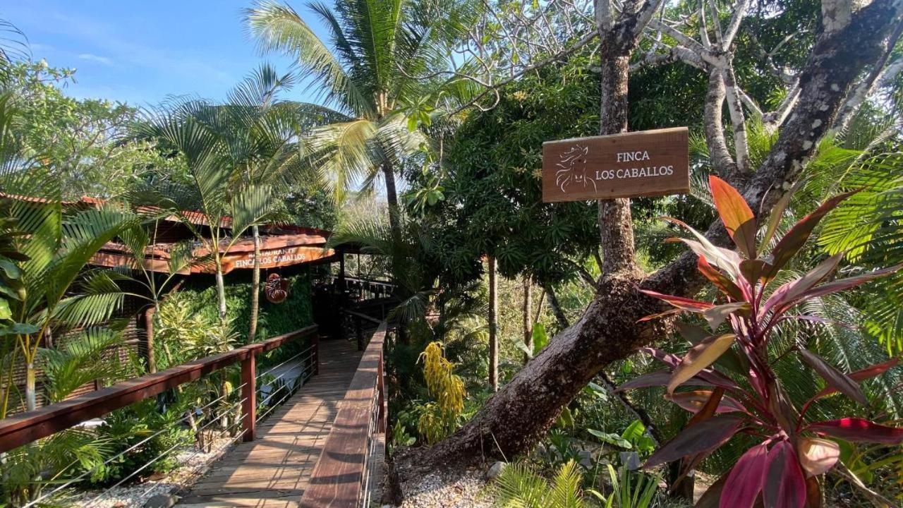 Finca Los Caballos Montezuma Exteriör bild