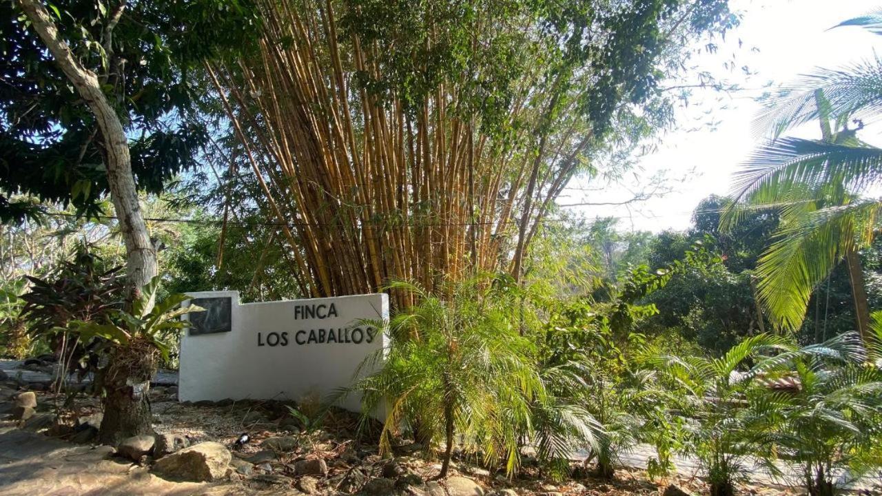 Finca Los Caballos Montezuma Exteriör bild